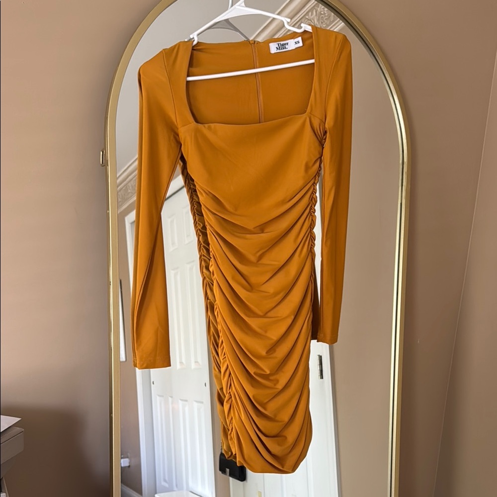 Tiger Mist Gold Ruched Long Sleeve Mini Dress